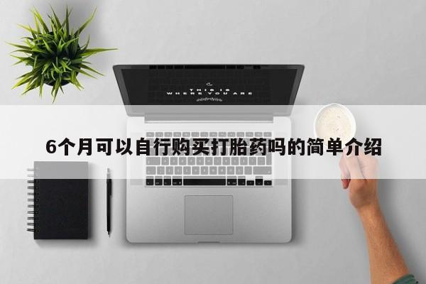 私人医院买打胎药6个月可以自行购买打胎药吗的简单介绍